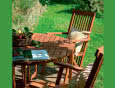 Co szkodzi drewnu w ogrodzie?