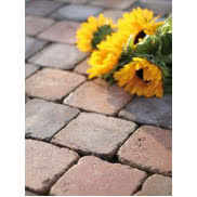 Kostka brukowa Polbruk COUNTRY